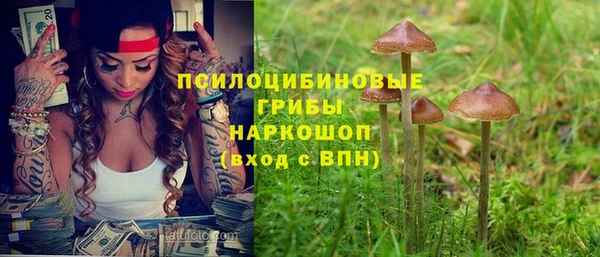 крисы Верхний Тагил