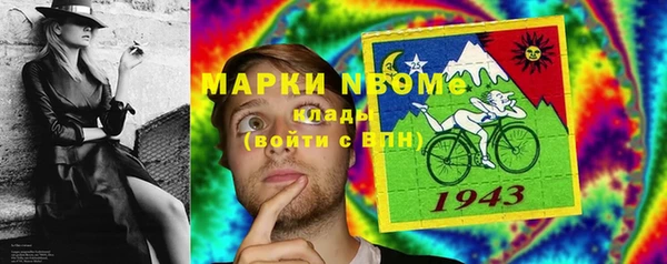 крисы Верхний Тагил