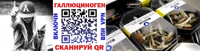 Псилоцибиновые грибы Psilocybine cubensis  Купить закладки  Юрьевец 